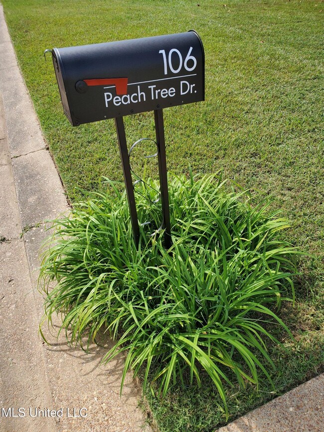 106 Peach Tree Dr, Senatobia, MS 38668 - photo 6