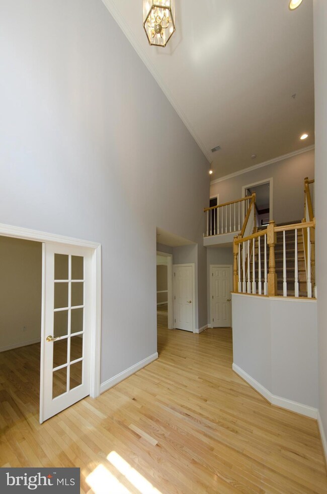 6822 Moly Dr, Falls Church, VA 22046 - photo 4