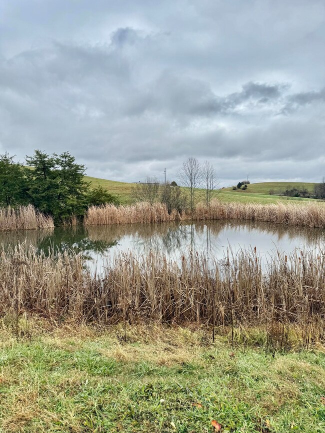 22 Cr-1636, Morehead, KY 40351 - photo 7