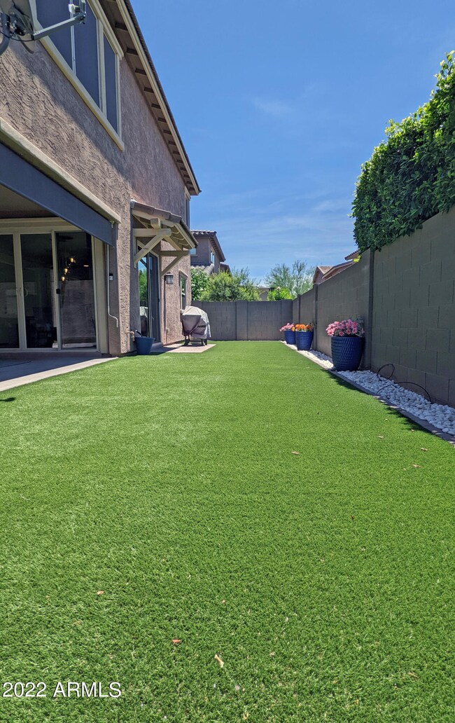backyard artificial turf pic 1