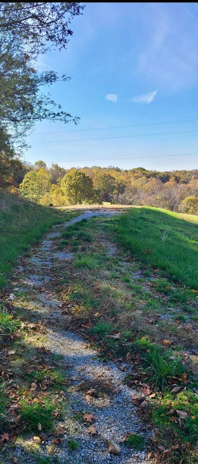 20.3 Lawrenceville Rd, Williamstown, KY 41097 - photo 2