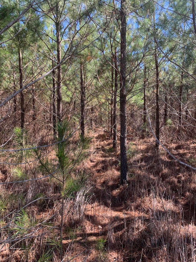 0 Moton Moore Rd unit 542111, McCormick, SC 29835 - photo 4