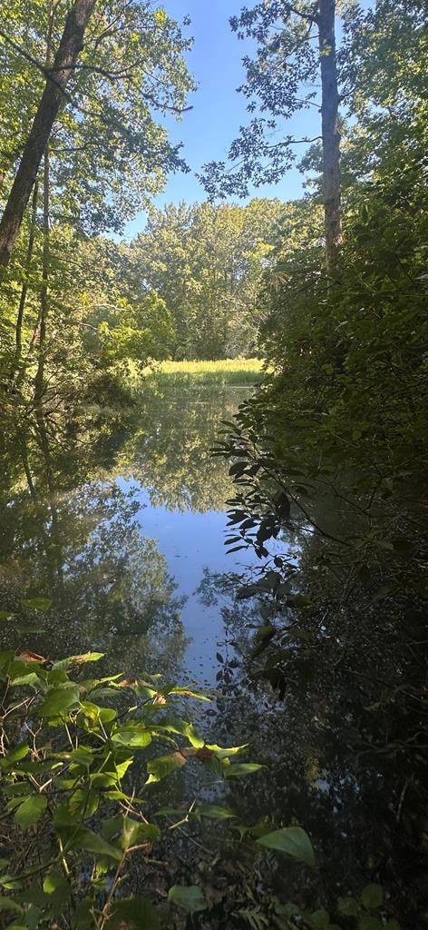 104B Beechwood Dr, Weems, VA 22576 - photo 7