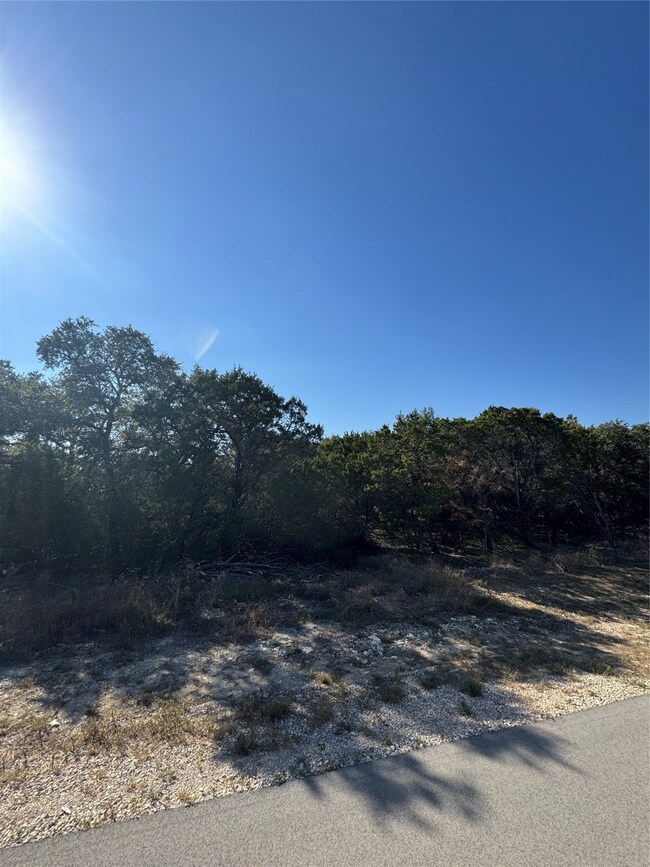 8421 Forest Lake Loop, Cleburne, TX 76033 - photo 7