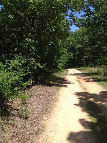 0 Mill Hollow Rd unit RTC1458621, Linden, TN 37096 - photo 2