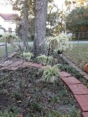 301 Gordon St E, Douglas, GA 31533 - photo 6