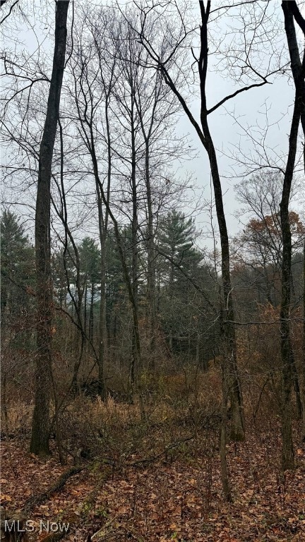 0 Surrey Dr SE, Minerva, OH 44657 - photo 5