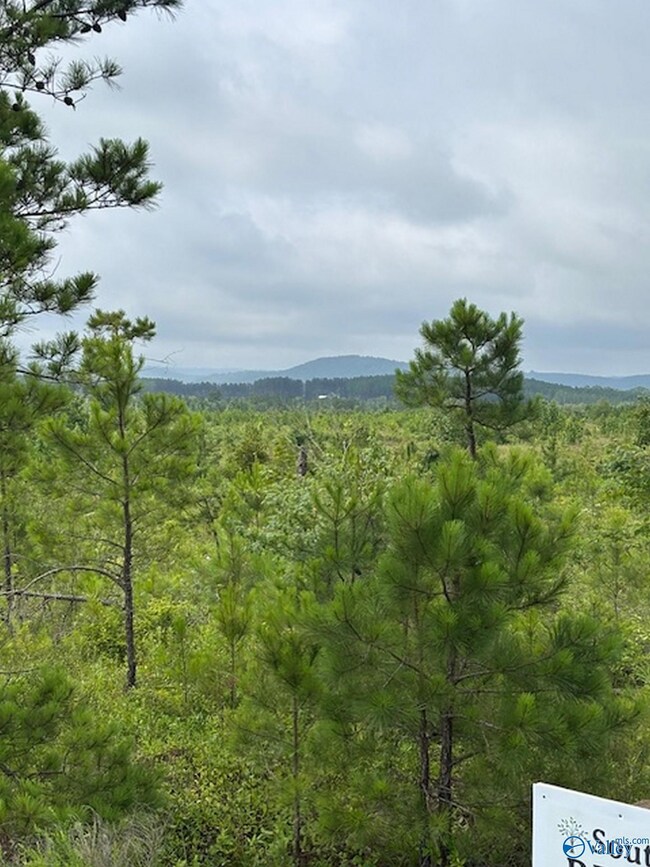 Tract 2 Tom Cat Rd, Gadsden, AL 35903 - photo 7