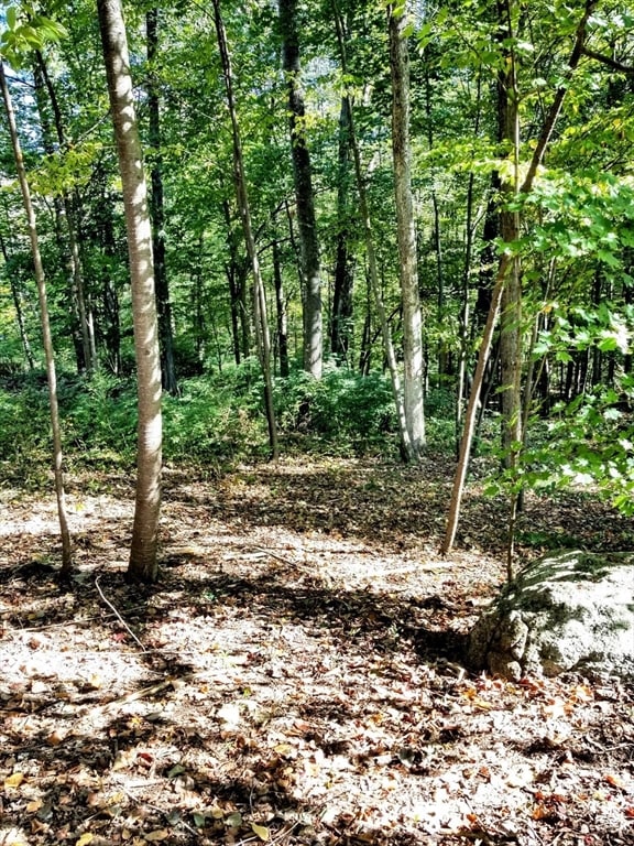 0 Red Gate Ln unit 73348273, Amherst, MA 01002 - photo 6