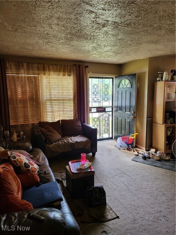 Carpeted living room featuring a textured ceiling