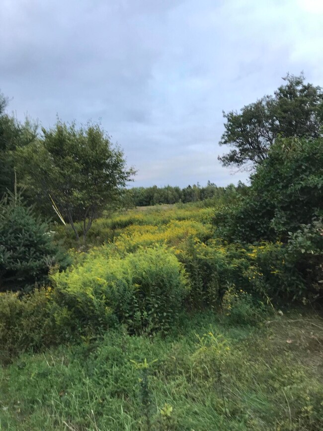 M1978 L92H State Route 9, Crawford, ME 04694 - photo 6