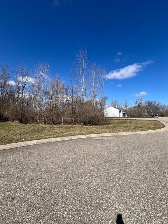 VL Lot 58 High Oaks Trail, Grand Blanc Township, MI 48439 - photo 4