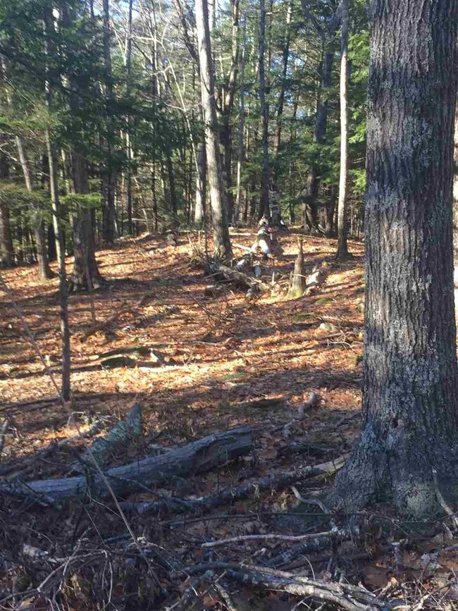 lot 2 Long Island Rd, Moultonborough, NH 03254 - photo 6