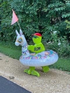 Lot 41 Lucille Ln, Merrimac, WI 53561 - photo 6