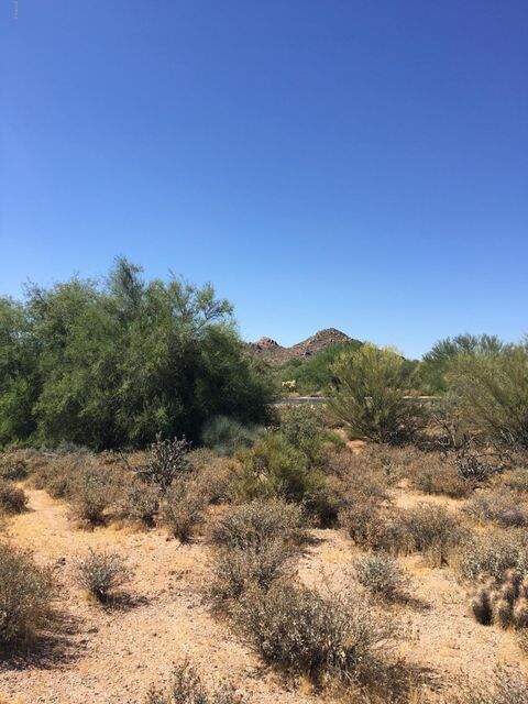 Mountain Views