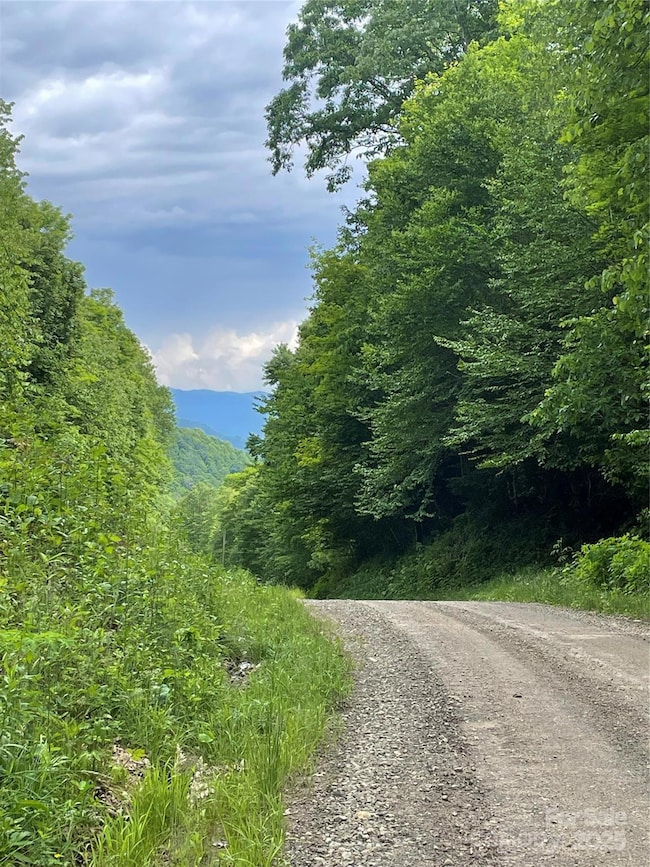 1201 Simms Fork Rd, Burnsville, NC 28714 - photo 2