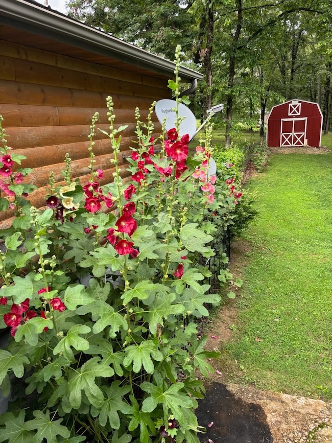 248 Carter Route F, van Buren, MO 63965 - photo 4