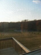 Pond View
