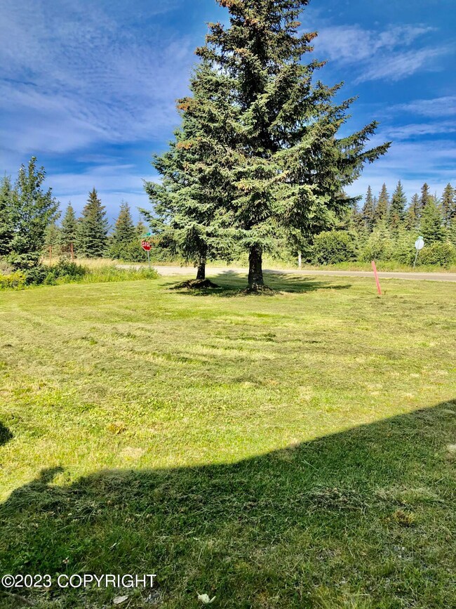 Front Yard