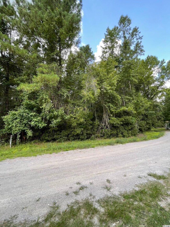 TBD Piney Grove Rd, Loris, SC 29569 - photo 5