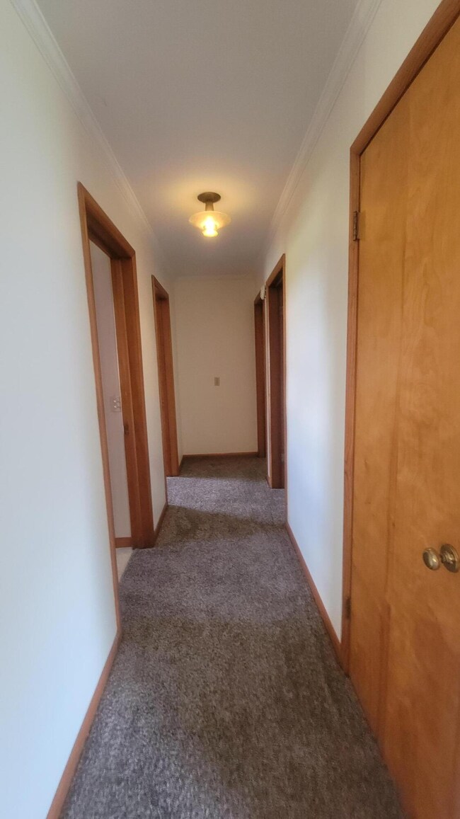 315 W Elm St, Reading, MI 49274 - photo 3