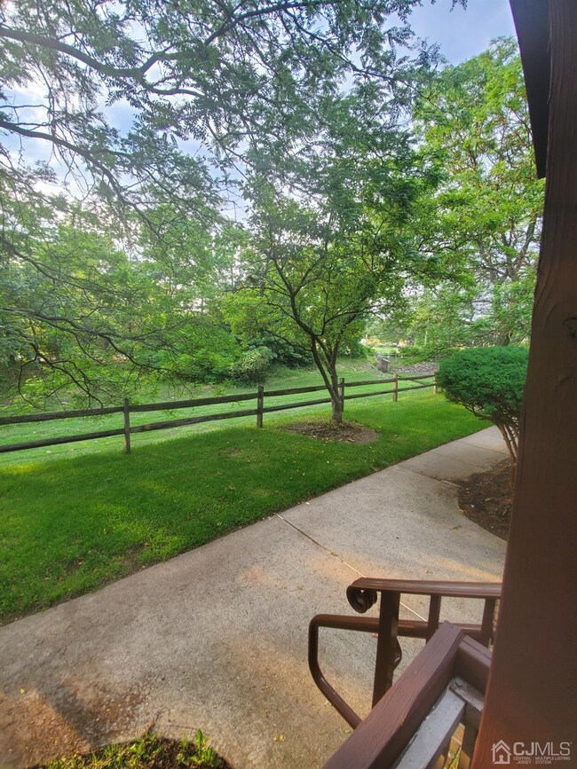 View from Patio