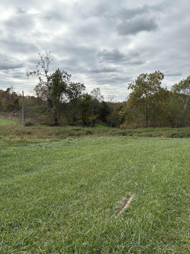 Pine Grove Ch Rd, Vanceburg, KY 41179 - photo 2