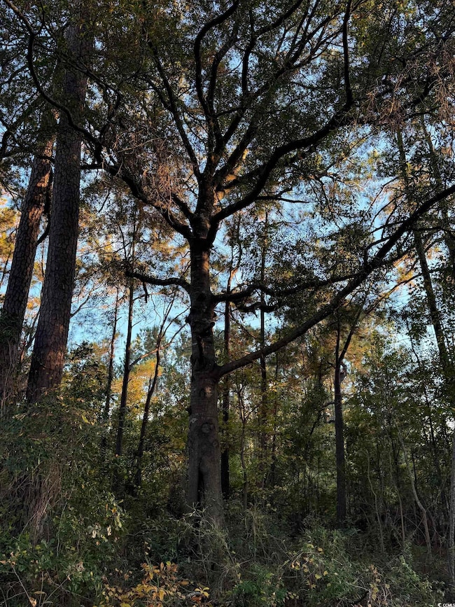 Lot 1 & 2 College Park Rd unit COLLEGE PARK, Conway, SC 29527 - photo 5