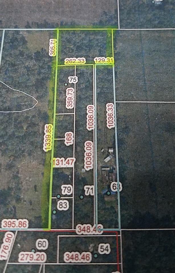 0 Page Oliver Rd, Crawfordville, FL 32327 - photo 3