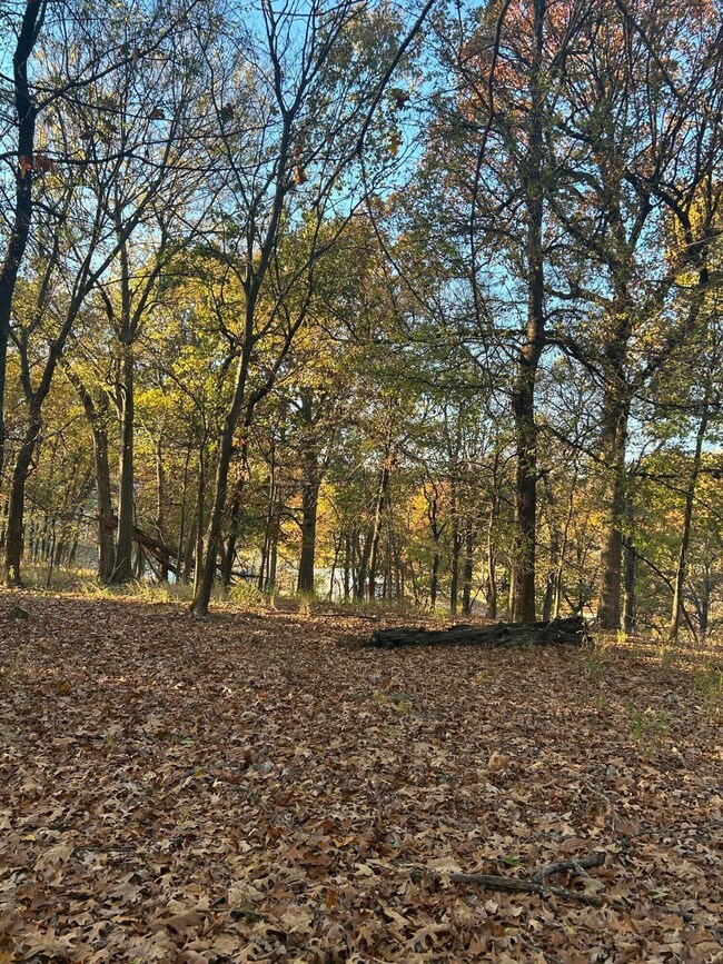 Wooded