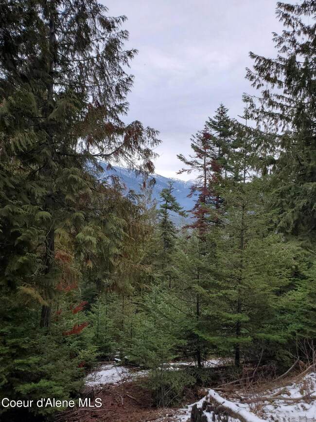 NNA Sled Run Trail, Clark Fork, ID 83811 - photo 6