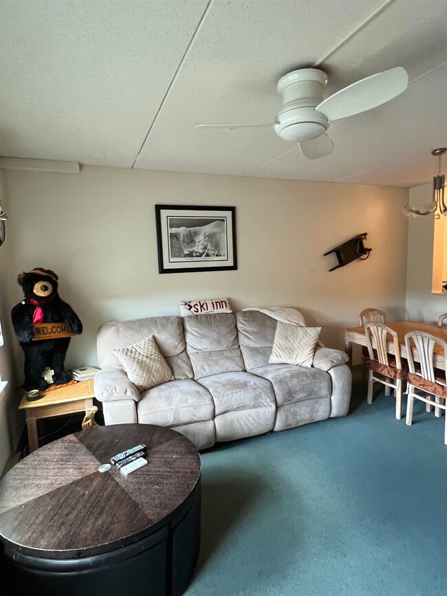 28 Packards Rd unit 311, Waterville Valley, NH 03215 - photo 4