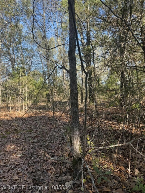 Tract 1 2nd St, Fort Coffee, OK 74959 - photo 5