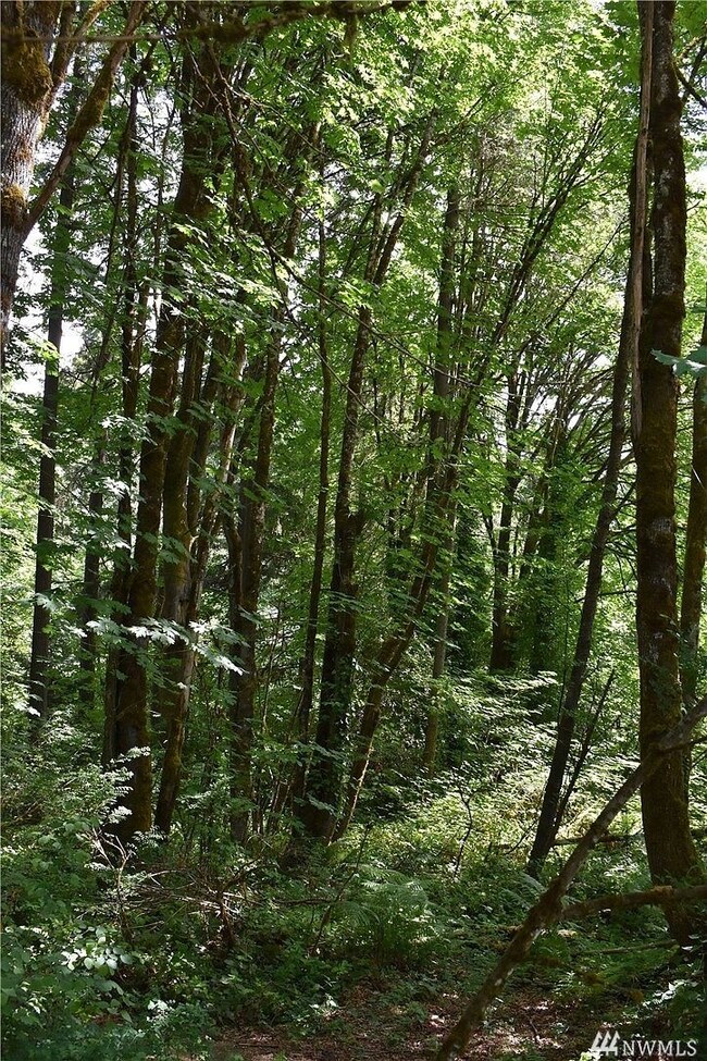 2201 Wheeler Ave SE, Olympia, WA 98501 - photo 7