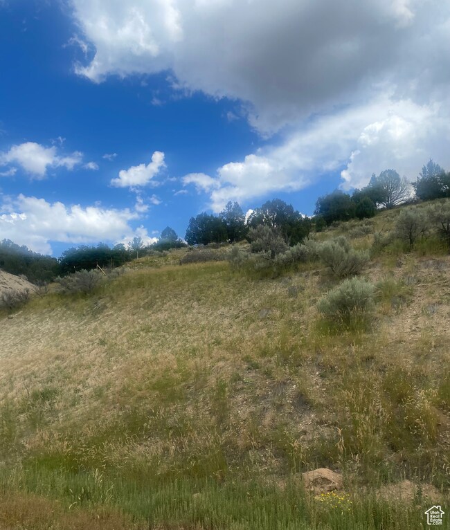 89 U S Highway 89, Fairview, UT 84629 - photo 7