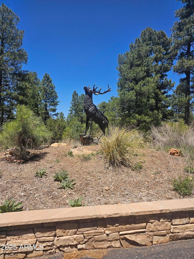 3662 Sunset Ridge Loop unit 143, Blue Ridge, AZ 86024 - photo 3