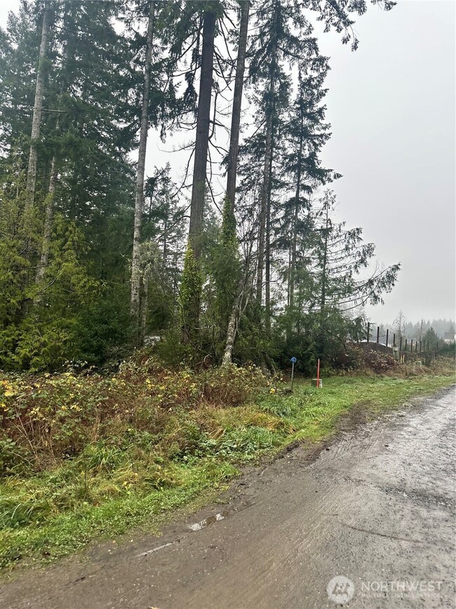 0 xxx E Wheelwright St S, Allyn, WA 98524 - photo 7