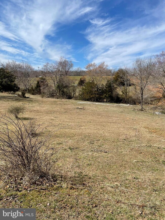 Lot 113D Stonehouse Mountain Rd, Catalpa, VA 22701 - photo 4