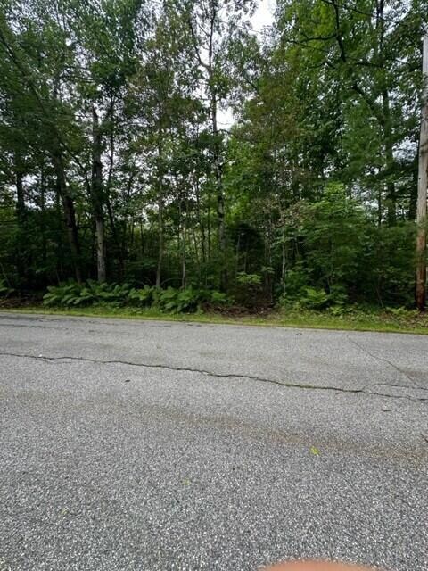 Lot 32 Johnson Rd, Limerick, ME 04048 - photo 5