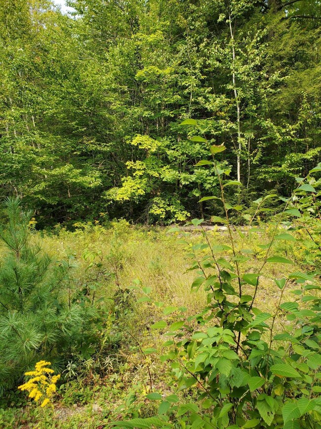 Lot 9