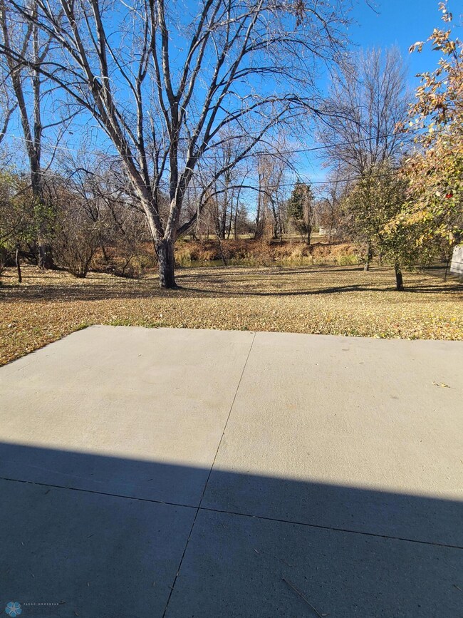 View from patio to river