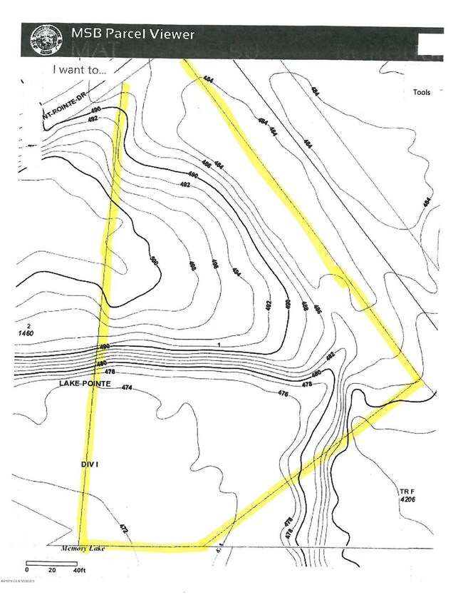 MSB Topo of  lot 1