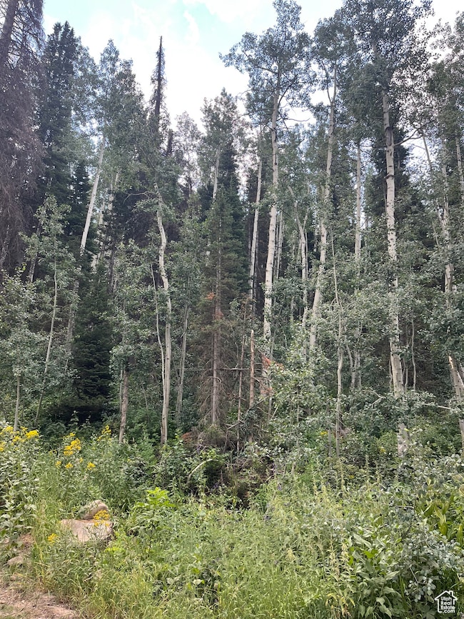 View of undeveloped land