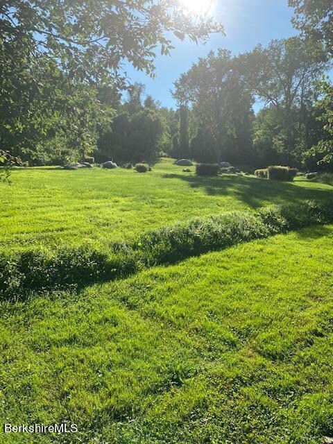 Cleared Land