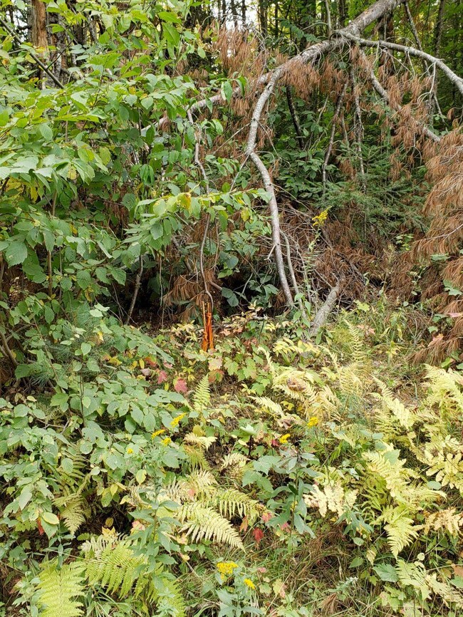 M20 L26C&D Four Mile Square Rd, Anson, ME 04911 - photo 2