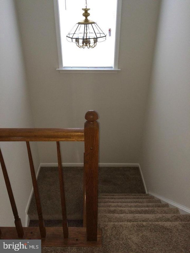 6328 Over See Ct, Springfield, VA 22152 - photo 7