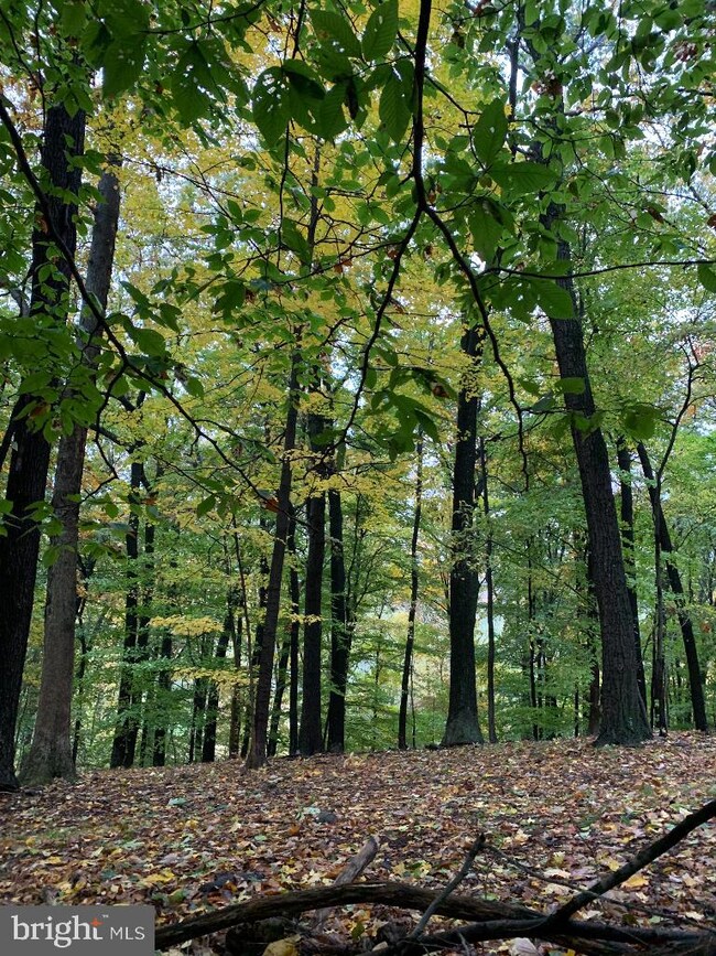 57 Woodchoppertwn Rd, Boyertown, PA 19512 - photo 3