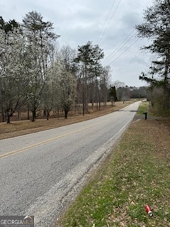 5561 Wg Robinson Rd, Gainesville, GA 30506 - photo 2