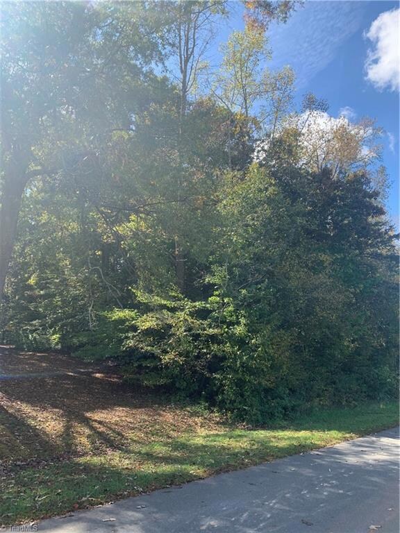 0 Jennifer View Dr unit 999299, Grant, NC 27205 - photo 3