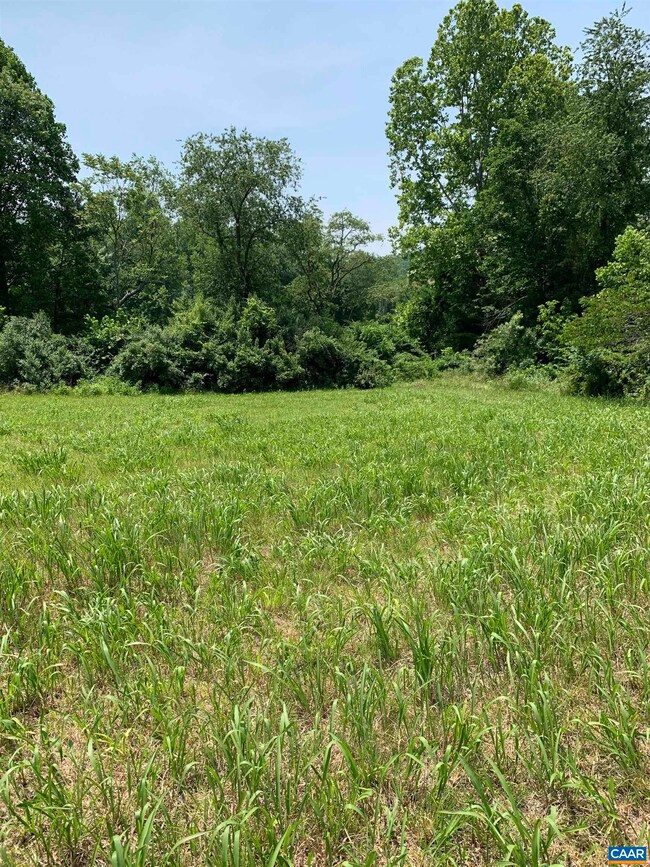 TBD Arrowhead Ln, Charlottesville, VA 22903 - photo 6